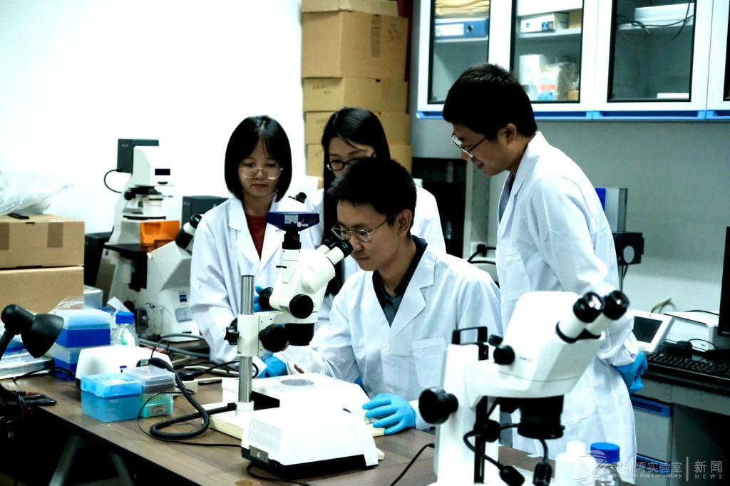 钟国才1.jpg 钟国才1.jpg