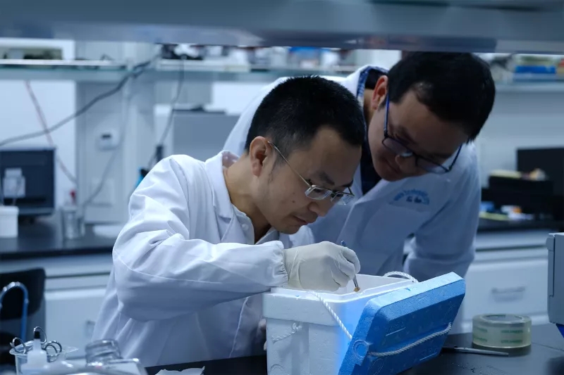 图为张勃与课题组成员在实验室.webp.jpg