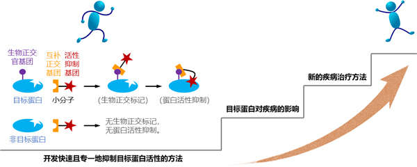 科研成果.jpg